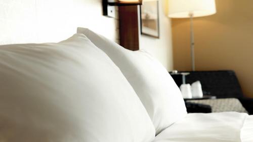 Overland Park Hotel | Holiday Inn Hotel & Suites Overland Park-Convention Center by IHG
