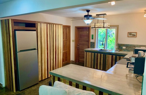 San Pedro House | Hollow Tree Casita 2 Bedroom Swank Container House Very Private Jungle View.