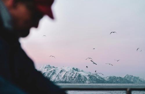 Sørvagen Resort | Holmen Lofoten