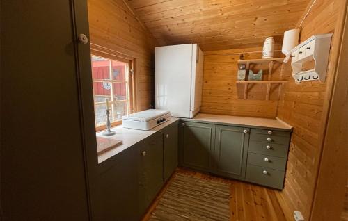 Asnes Municipality Other | Holmsjøhytta