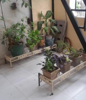 Panchkula House | Holy Hills Homestay