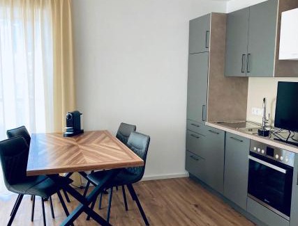 Radstadt Apartment | Holzlodge Chalets Nähe Obertauern