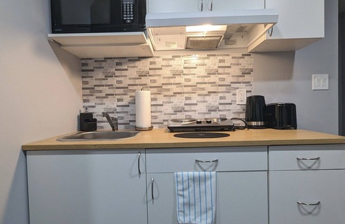 Fort Gary Apartment | Home away from home! Entire basement suite with privacy and driveway parking!