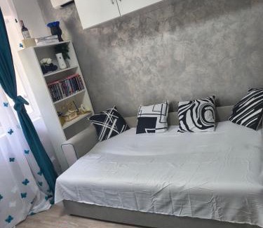 Ramnicu Valcea Apartment | Home MARIA