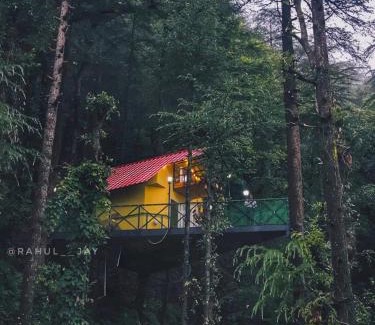 Chail Other | home on woods