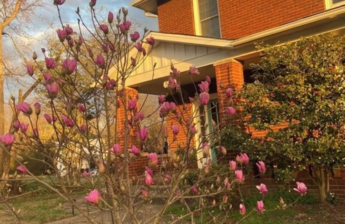 South Boston House | Home sweet home