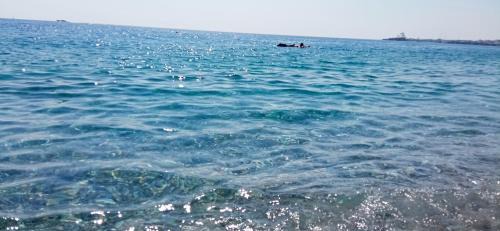 Sant'Anna Apartment | Home Tropicana