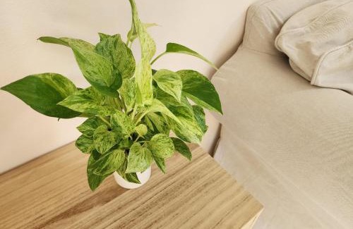 Sattahip House | HOMEis Villa Sattahip