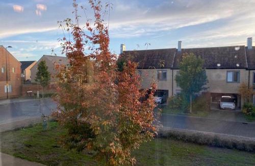 Trumpington Apartment | Homely, Cosy & Contemporary 4 BDR house with Garden & Parking 5 mins drive to Addenbrookes & Papworth hospitals & Bio Medical campus