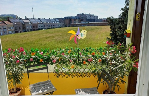 Sint-Agatha-Berchem Apartment | Homerez - Apartment in Berchem-Sainte-Agathe