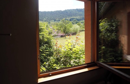 Thannenkirch Apartment | Homerez - Appt Thannenkirch, Mountain View