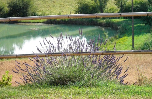 Molieres House | Homerez - Beautiful house for 6 ppl. with terrace at Molières