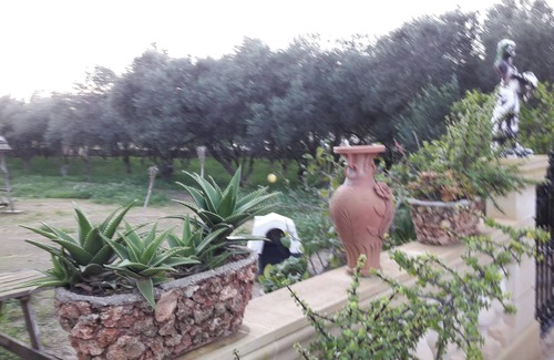 Siggiewi House | Homerez - Charming House in Siġġiewi with Jacuzzi