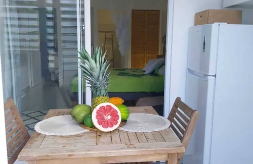 Sainte-Anne Apartment | Homerez - Comfortable studio in Sainte-Anne on 20 m² with garden