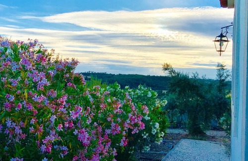Pedrogao Villa | Homerez - Villa for 5 ppl. with shared pool and jacuzzi at Casais de Sao Bras
