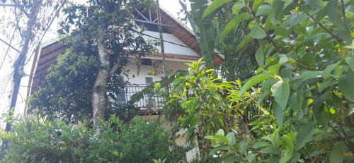 Sea View Ward Bed & Breakfast | Homestay DGH