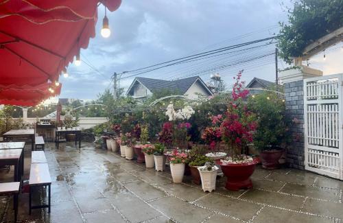 Phuong Apartment | Homestay M-Latino Dalat