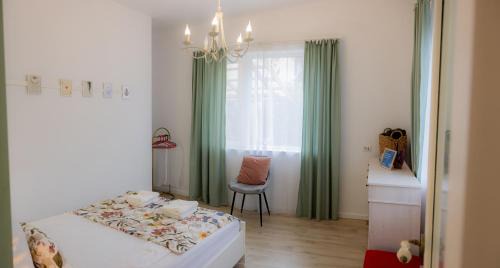 Cluj-Napoca Apartment | Homey Luxury- entire house, free parking, yard