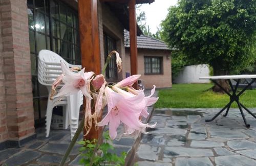 Moron House | Homy home