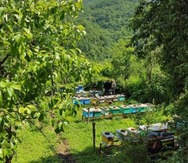 Seoci House | Honeyhouse Tjentiste, Foca