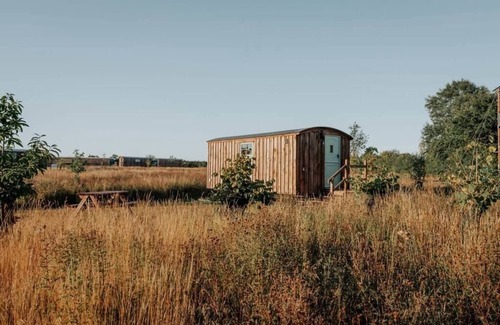 Monk Soham Cabin | Honeysuckle Farm Hut 3 - Suffolk Farm Holidays