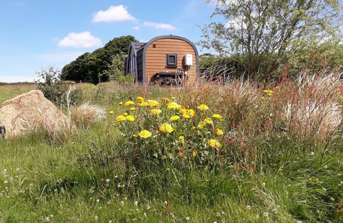 Laneast Apartment | Hornbeam Eco Cabin - Sleeps 2 - Valley View