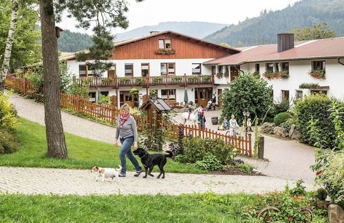 Kickenbach Apartment | Horse box, 60 sqm, 2 bedrooms, max. 4 persons