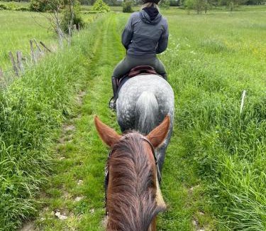 Villalet Apartment | Horse Cottage
