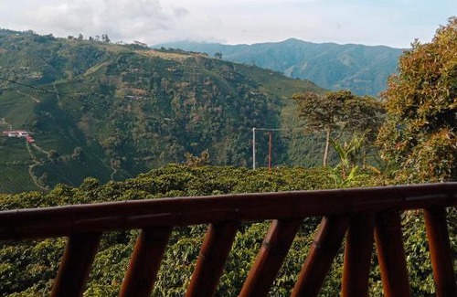 Apia Hotel | Hospedaje mirador la Floresta