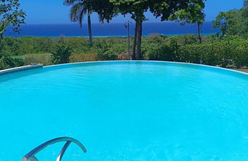 Montego Bay Apartment | Hospitality Expert HALF HILL 1BR - Pool/Beach