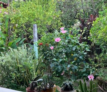Suchitoto House | Hostal El Amate #1