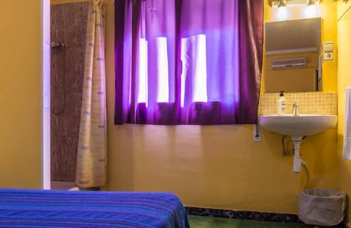 Balaguer House | Hostal Urgell