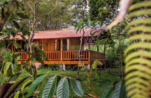 Mindo Cabin | HOSTERIA KUMBHA MELA