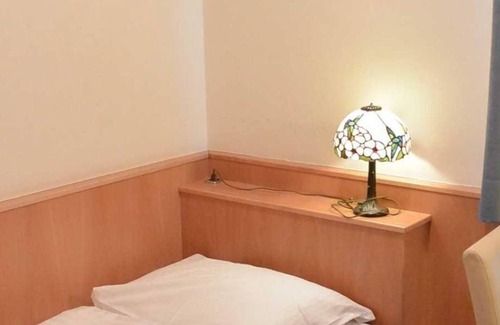 Elisabeth-Vorstadt Bed & Breakfast | HOT DEAL single room non refundable rate - Adlerhof, Pension