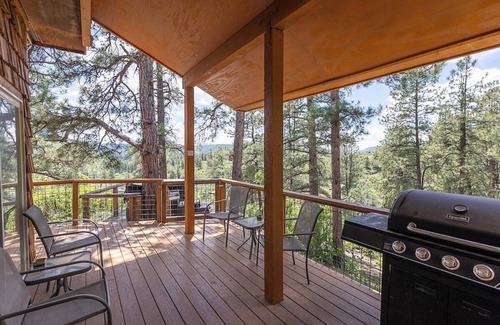 Pagosa Springs Cabin | Hot Tub, Secluded, Borders National Forest, New AC