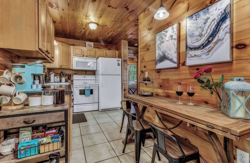 Skyland Cabin | Hot Tub Yard Biltmore Blue Ridge Cabin Dogs ok Fireplace Winter Views