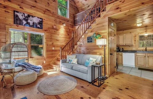 Skyland Cabin | Hot Tub Yard Biltmore Blue Ridge Cabin Dogs ok Fireplace Winter Views