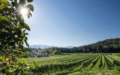 St. Michael/San Michele Hotel | Hotel Weingut Stroblhof