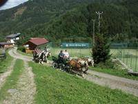 Duernstein in der Steiermark Hotel | Hotel ∙ 1 bedroom ∙ 5 guests