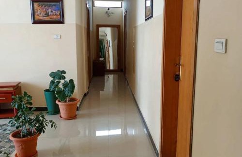 Axum Hostel | Hotel 21