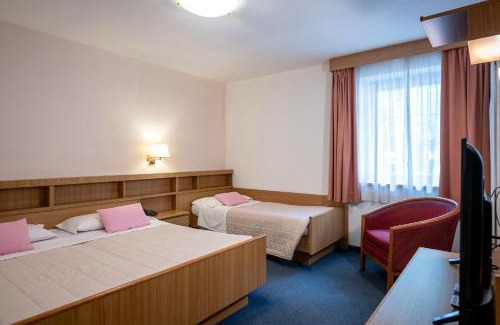 Ziano di Fiemme Hotel | Hotel Al Polo