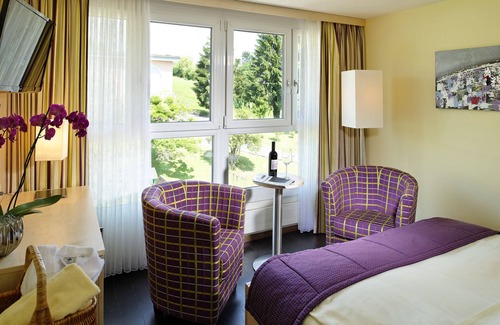 Weggis Hotel | Hotel Alexander