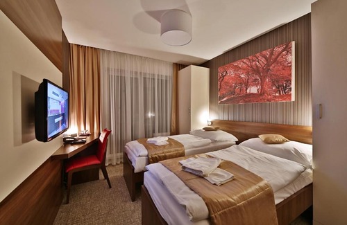 Bardejovske Kupele Hotel | Hotel Alexander