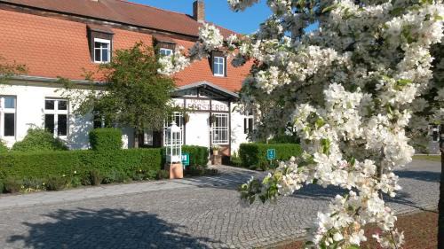 Kloster Zinna House | Hotel Alte Försterei