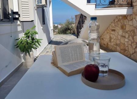 Scala Hotel | Hotel Andreas - Agistri (Skala)