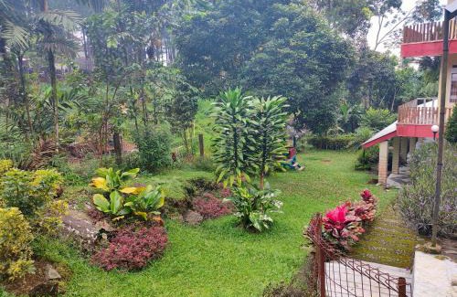 Baturaden Hotel | Hotel Anita Baturaden Mitra RedDoorz