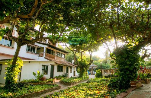 Brisas de Zicatela Hotel | Hotel Arcoiris
