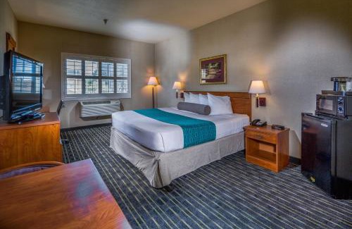 San Bruno Hotel | Hotel Aura SFO Airport FREE SHUTTLE