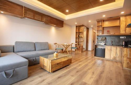 Boudhha Hotel | HOTEL BHRIKUTI TARA