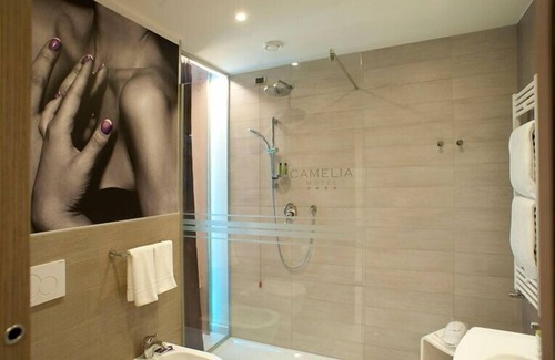 Cameri Hotel | Hotel Camelia